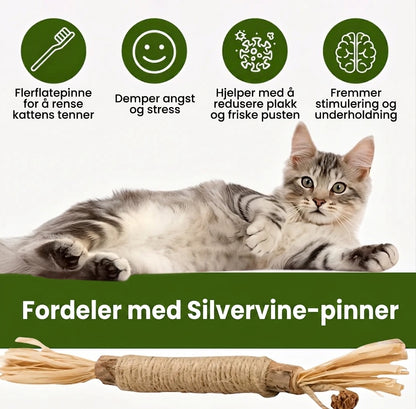Natural Silvervine Dental Sticks