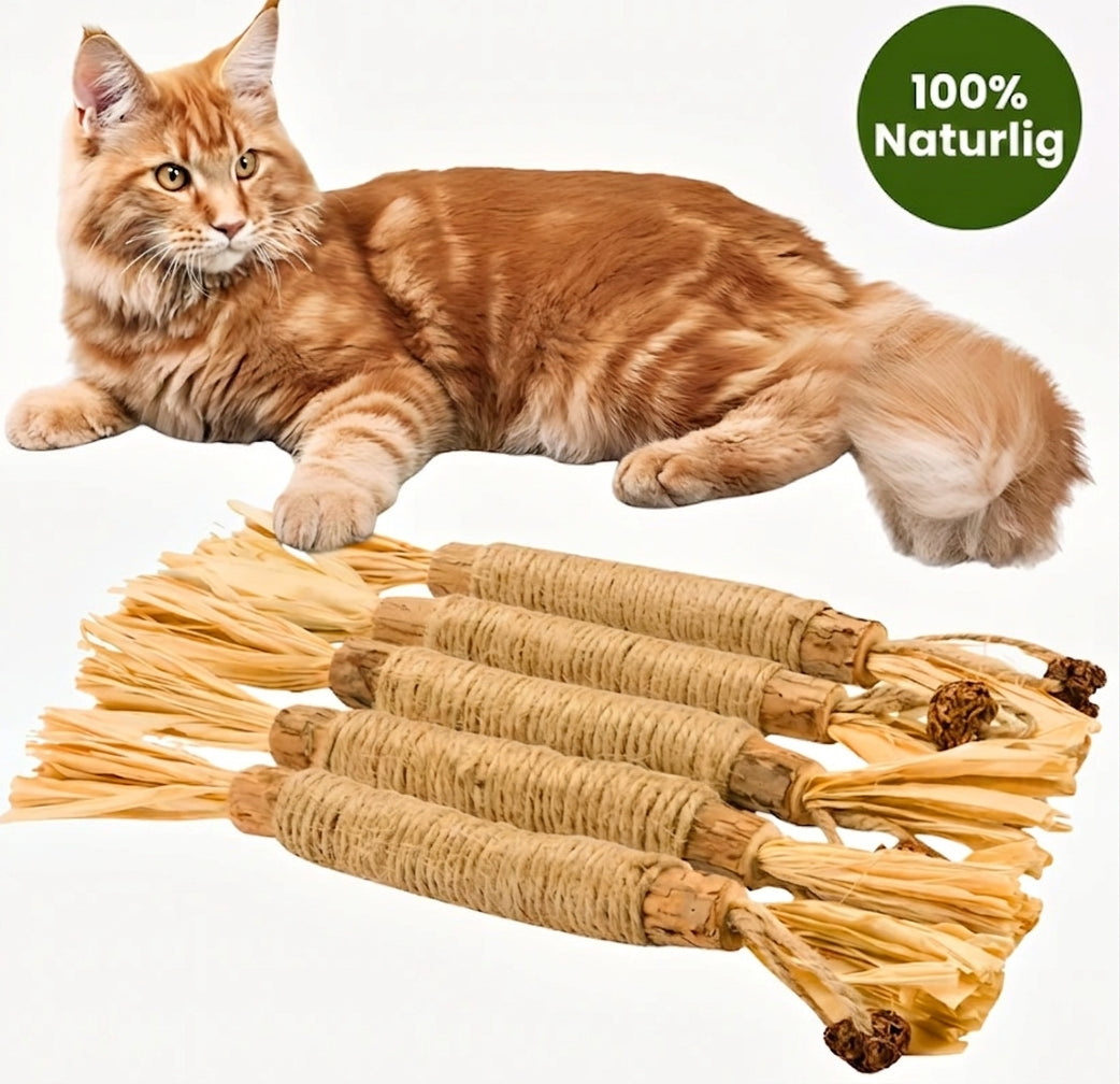 Natural Silvervine Dental Sticks