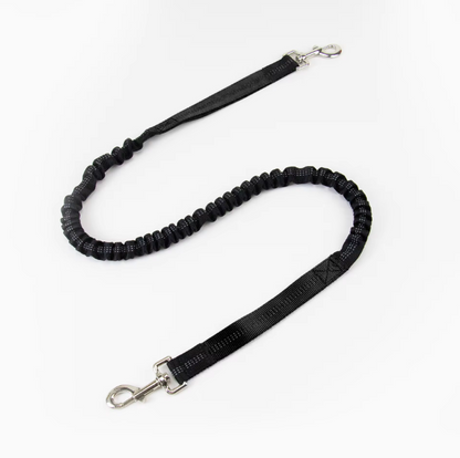Hands-Free Dog Leash